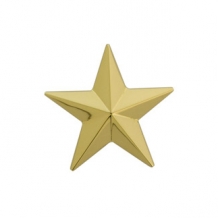 Ashanger ster goud