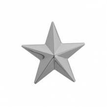 Ashanger ster zilver