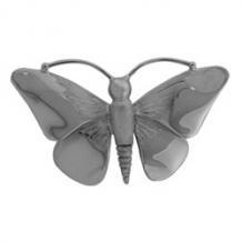 Ashanger vlinder zilver