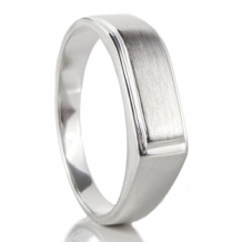 Sierlijke ring met as in gesloten kamer Zilver