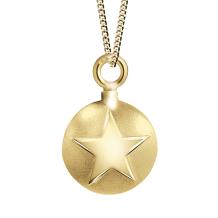 Ashanger plat rond met ster goud
