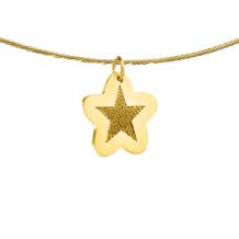 Gouden Vingerafdruk hanger ster met rand