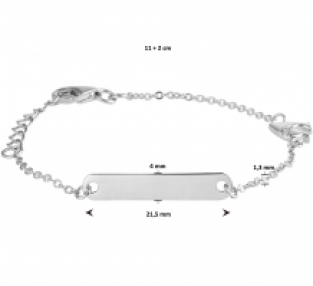 Zilveren plaatarmbandje met dolfijn en zirkonia-steentjes