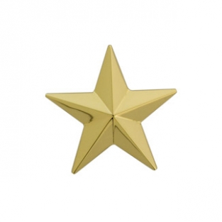 Ashanger ster groot goud