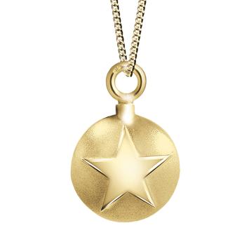 Ashanger plat rond met ster goud