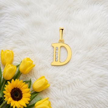 Gouden hanger letter zirkonia